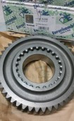 Bánh răng  HỘP SỐ ZF 6S1600, 6S1900 Mã OEM: 1310304201. Mã EURORICAMBI: 95533966