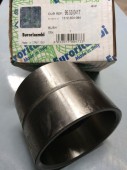 Bạc trượt HỘP SỐ ZF 16S181, 16S221, 16S2225,… Mã OEM: 1312304084. Mã EURORICAMBI: 95530417